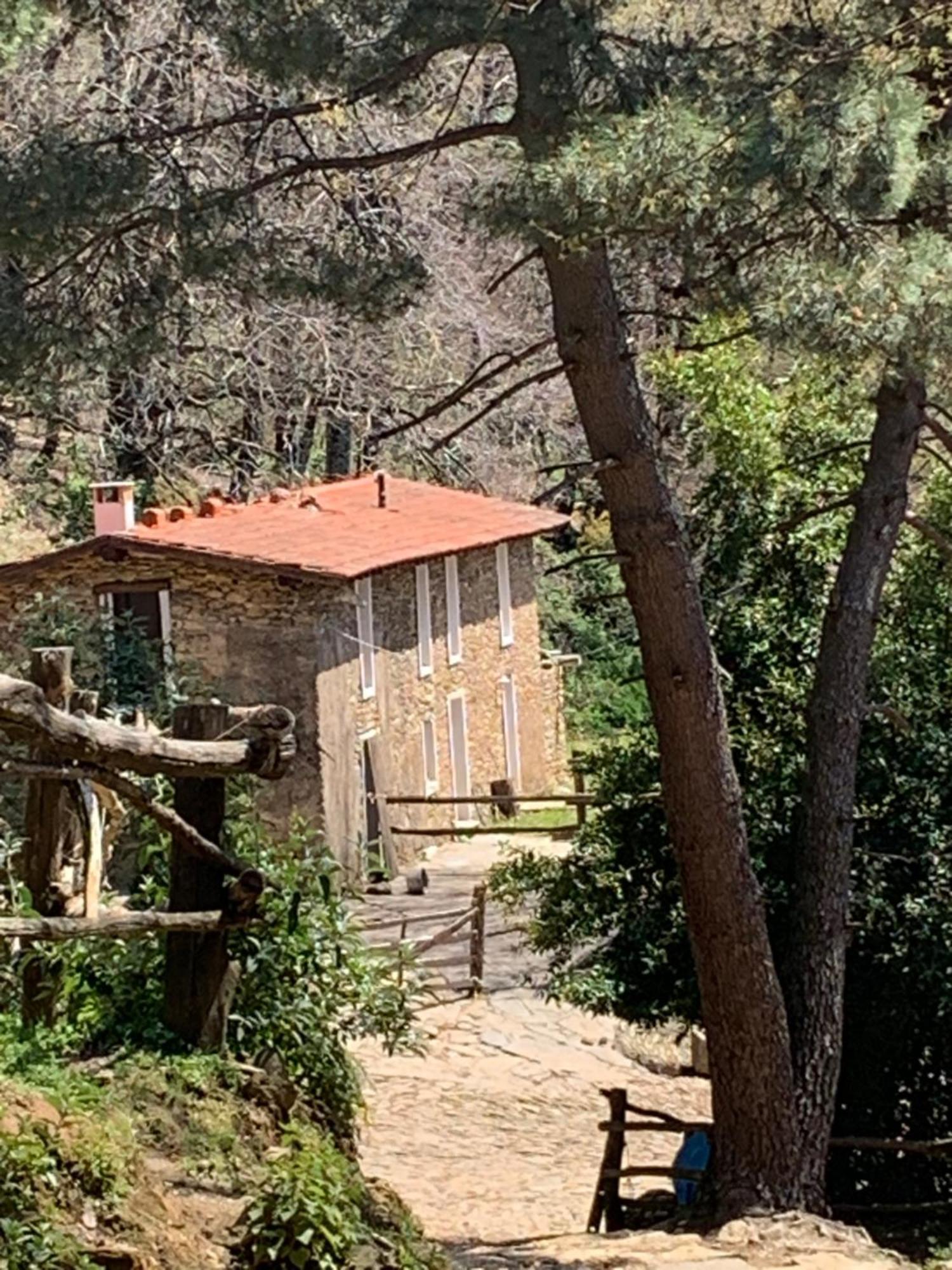 Centro Trekking A Cavallo Monte Brugiana Pension Massa  Buitenkant foto