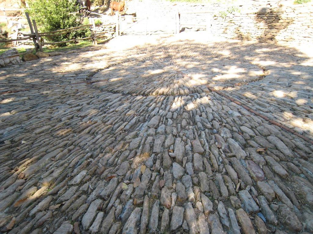 Centro Trekking A Cavallo Monte Brugiana Pension Massa  Buitenkant foto