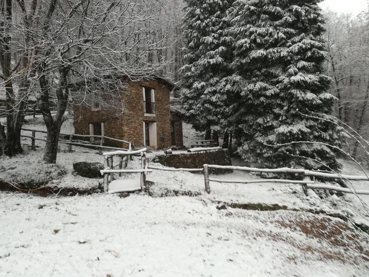 Centro Trekking A Cavallo Monte Brugiana Pension Massa  Buitenkant foto